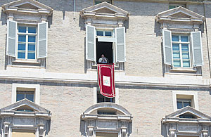 Die Kirche bekommt neue Purpurtrger