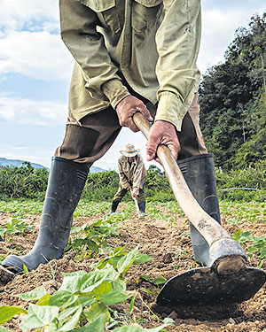 Arbeit ist ein Weg zu ganzheitlichem Wachstum