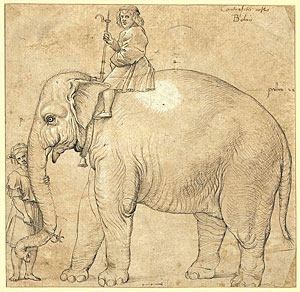 Hanno, der Elefant Seiner Heiligkeit