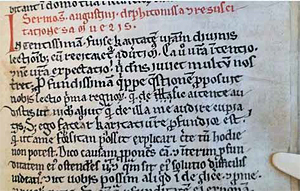 Lebendige und ironische Prosa